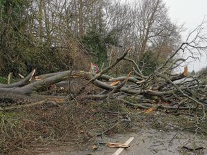 Supporting image for story: Storm Dennis: Weather warnings as wind and rain disrupts region again