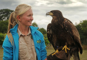 New recruit to the 'Wild Wings free flight bird show', is 'Philippe', a bald eagle, with head keeper Alice Spark, of Tettenhall, at Wild Zoological Park
