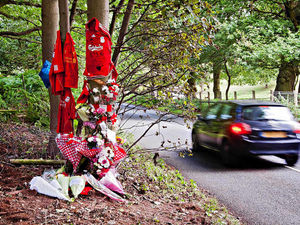 Supporting image for story: Driver killed as car crashes into tree