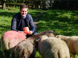 Supporting image for story: Brecon, Radnor and Cwm Tawe MP CallS for Family Farms Tax U-Turn as Record Number of Farms Close