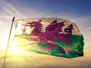Supporting image for story: Welsh independence cause will be strengthened if Westminster continues to override Senedd - peer
