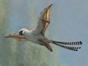 Supporting image for story: 160m-year-old dinosaurs struggled to fly despite bat-like wings, study finds