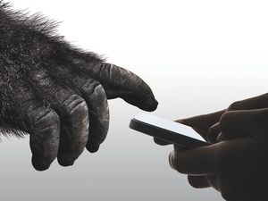 Supporting image for story: Improved smartphone glass halves the risk of cracks