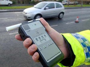 Supporting image for story: Drink driver hit lamppost after stopping for couple of beers on way back from rehoming dog