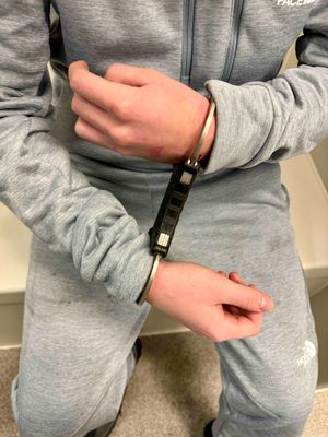 The driver was arrested at the scene. Photo: WMP Traffic