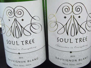 Supporting image for story: West Midlands wine company puts Indian vineyards on the map