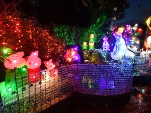 Supporting image for story: Watch: Stunning Christmas light display brings festive cheer to Aldridge street