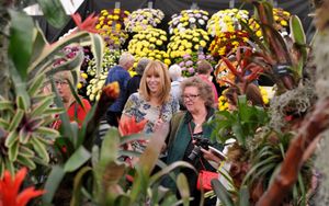 Shrewsbury Flower Show 2018