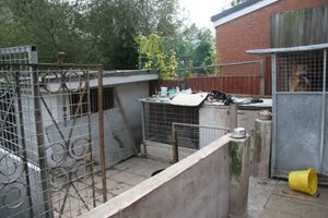 The dogs - including puppies - were in an area covered with urine and faeces