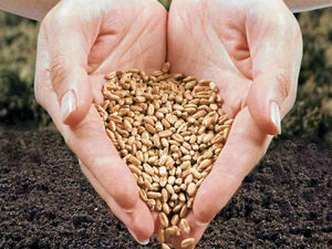 Supporting image for story: Sowing seeds for clear regulation across Europe