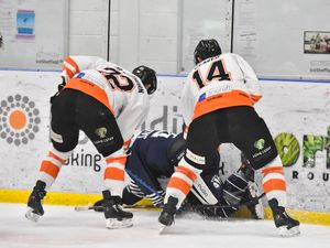 Supporting image for story: Telford Tigers make 'key signing' in Bradley Day