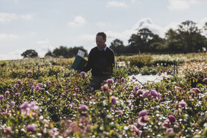 David J. C. Austin, Chairman at David Austin Roses.