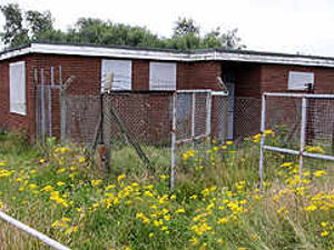 Supporting image for story: Bat blocks stadium demolition