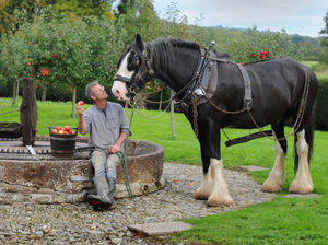 Supporting image for story: Survey results in over future of Shropshire historic working farm