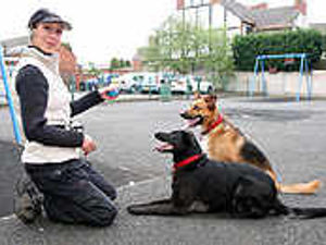 Supporting image for story: Natalie leads way in making dogs behave