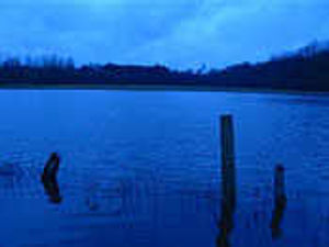 Supporting image for story: Misled on the Severn