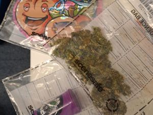 Supporting image for story: Police detain 'multiple' people and seize drugs after reports of dealing