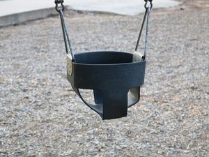 Supporting image for story: Telford teen rescued after getting stuck in a swing for a second time in 10 days