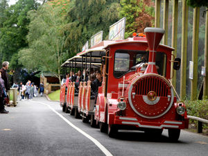 Supporting image for story: Tourism awards launched to celebrate attractions in the West Midlands