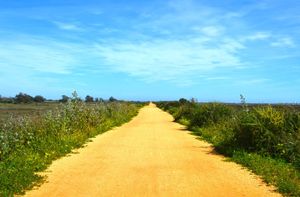 The path along the salt flats