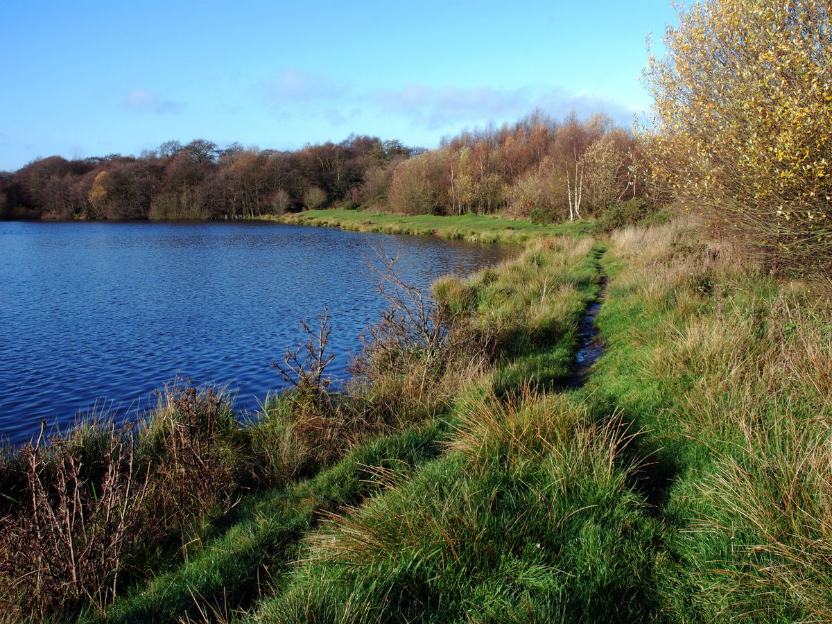 Family tribute to ‘talented’ teenager who died after going missing in lake Family tribute to ‘talented’ teenager who died after going missing in lake