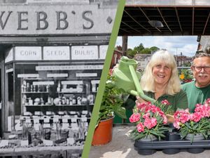 Supporting image for story: West Midlands adored family-run garden centre closing down after 104 years