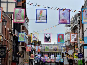 Supporting image for story: Schoolchildren's artwork features on flags in Shrewsbury High Street