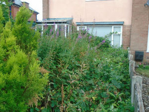 Supporting image for story: Telford couple fined £1,250 for overgrown garden at house