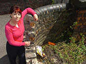 Supporting image for story: Thugs destroy railway wall