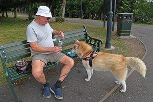 Graham Jones makes sure Yuki has plenty of water at Dartmouth Park
