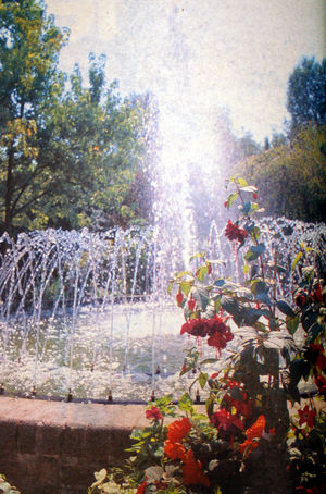 The magnificent Chelsea Gardens in Telford town park were one of the features which helped the town to a Britain in Bloom win.