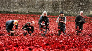 Volunteers remove poppies from the moat