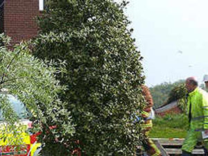 Supporting image for story: Man quizzed on £1.8m house fire