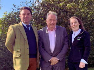 Supporting image for story: Experienced team to head up agricultural sales at Halls