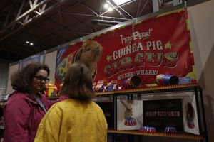 National Pet Show at Birmingham NEC. Pictures by: Andy Shaw