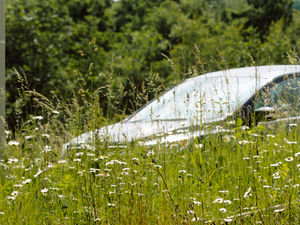 Supporting image for story: Long grass at Shropshire roundabout is verging on dangerous, say motorists
