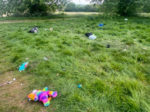 Supporting image for story: Walsall Council ‘asleep at the wheel’ over unauthorised traveller encampment at Delves Green - councillor