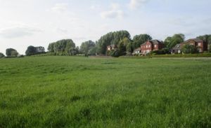 The view from the site showing houses on Fairways Drive and Poplar trees on the golf course. Picture: Haire Landscape Consultants Ltd