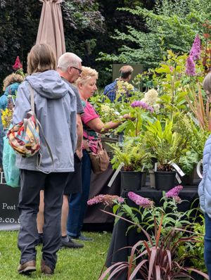 Summer Plant Hunters' Fair at Whittington Castle 