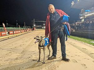 Supporting image for story: Young Romeo set to catch the eye at Monmore Green