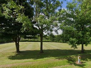 Supporting image for story: Telford industrial units get planning permission as council agrees to plant replacement trees
