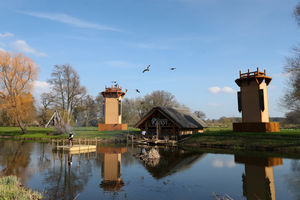 The skiy was filled with birds of prey as the displayed ended