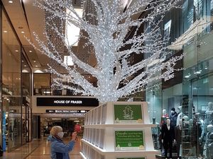 Supporting image for story: Telford Tree of Light cash brings welcome boost for good causes 