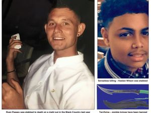 Supporting image for story: Shocked, stunned, horrified: MPs call for law change over killer blades