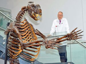 Supporting image for story: Shrewsbury school's science centre is a roaring success - with pictures