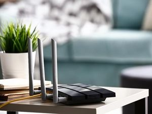 Supporting image for story: Shropshire Council invests £1m to help rural communities access high-speed broadband