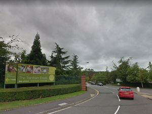 Supporting image for story: Visitor numbers at Staffordshire gardens spark concerns