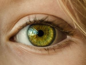 Supporting image for story: Support group launched to help those affected by sight loss