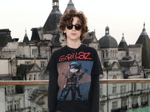 Supporting image for story