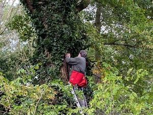 Supporting image for story: Volunteers transform community woodland following funding boost